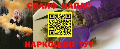 гидра Дмитров