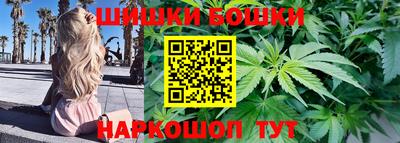 гидра Дмитров