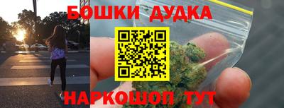 гидра Дмитров