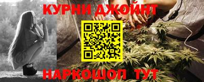 гидра Дмитров
